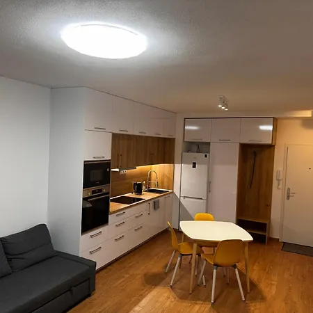 公寓 Bratislava Apartment