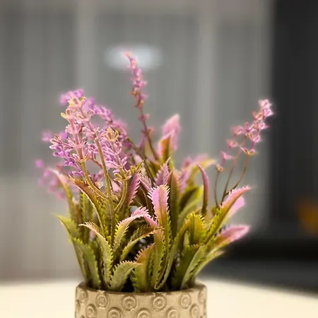 Appartement Bratislava Apartment