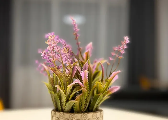 Apartment Bratislava Apartment